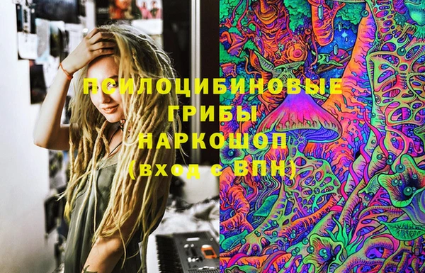 молекула духа Михайлов
