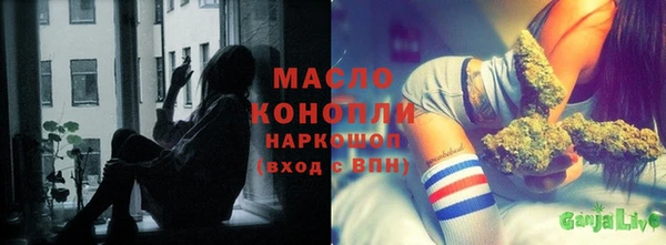 молекула духа Михайлов