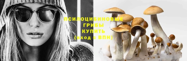 прущая мука Михайловка