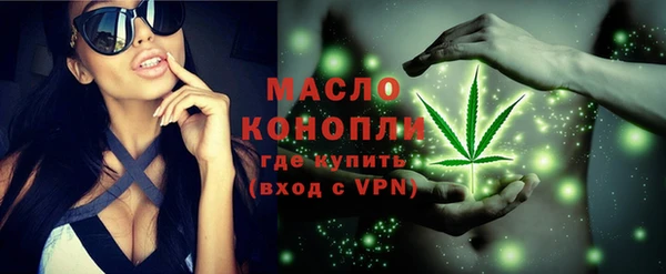 молекула духа Михайлов