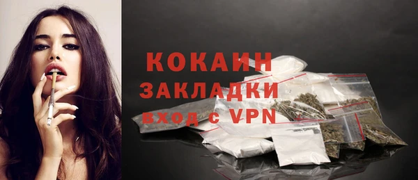молекула духа Михайлов