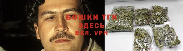 молекула духа Михайлов