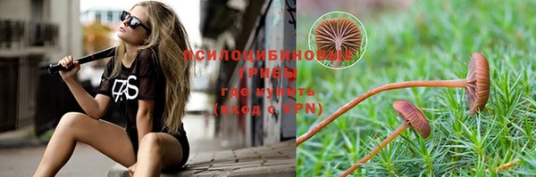 прущая мука Михайловка