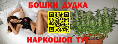 a pvp Гусь-Хрустальный