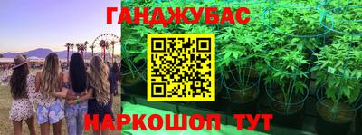 a pvp Гусь-Хрустальный