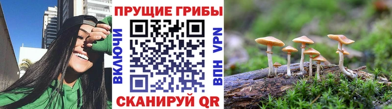 Галлюциногенные грибы мухоморы  закладка  MEGA вход  Геленджик 