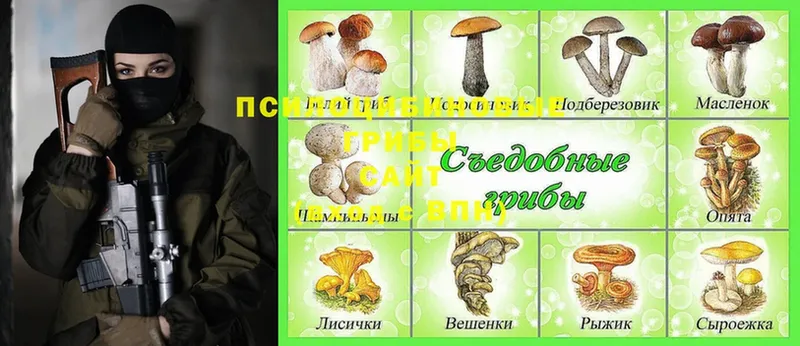 Псилоцибиновые грибы GOLDEN TEACHER  Геленджик 