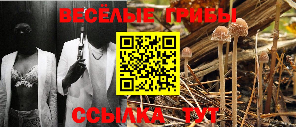 Геленджик  Галлюциногенные грибы мухоморы  Галлюциногенные грибы мицелий  Вход с VPN 